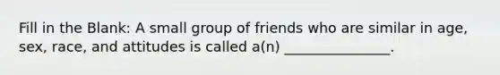 Fill in the Blank: A small group of friends who are similar in age, sex, race, and attitudes is called a(n) _______________.