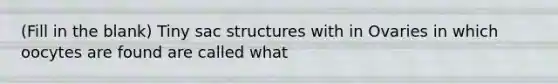 (Fill in the blank) Tiny sac structures with in Ovaries in which oocytes are found are called what