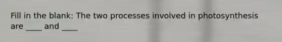 Fill in the blank: The two processes involved in photosynthesis are ____ and ____