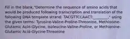 Fill in the blank,"Determine the sequence of amino acids that would be produced following transcription and translation of the following DNA template strand: TACGTTCCAACT:________," using the given terms: Tyrosine-Valine-Proline-Threonine, Methionine-Glutamic Acid-Glycine, Isoleucine-Valine-Proline, or Methionine-Glutamic Acid-Glycine-Threonine