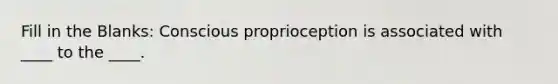 Fill in the Blanks: Conscious proprioception is associated with ____ to the ____.