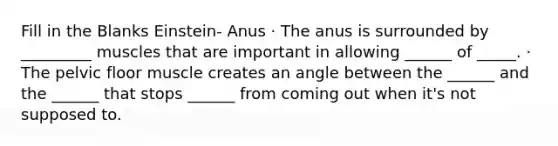 Fill in the Blanks Einstein- Anus · The anus is surrounded by _________ muscles that are important in allowing ______ of _____. · The pelvic floor muscle creates an angle between the ______ and the ______ that stops ______ from coming out when it's not supposed to.