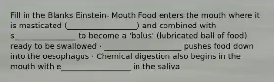 Fill in the Blanks Einstein- Mouth Food enters <a href='https://www.questionai.com/knowledge/krBoWYDU6j-the-mouth' class='anchor-knowledge'>the mouth</a> where it is masticated (__________________) and combined with s________________ to become a 'bolus' (lubricated ball of food) ready to be swallowed · ____________________ pushes food down into the oesophagus · Chemical digestion also begins in the mouth with e__________________ in the saliva