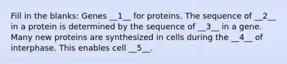 Fill in the blanks: Genes __1__ for proteins. The sequence of __2__ in a protein is determined by the sequence of __3__ in a gene. Many new proteins are synthesized in cells during the __4__ of interphase. This enables cell __5__.