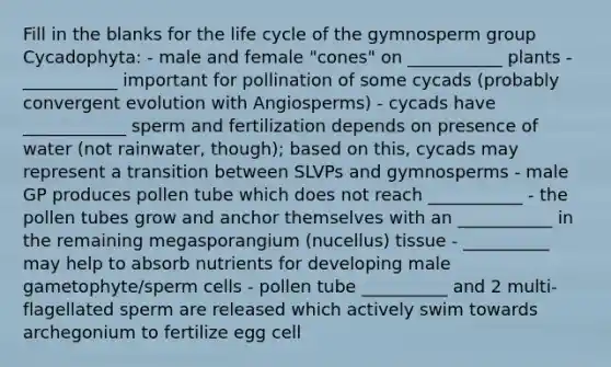 Fill in the blanks for the life cycle of the gymnosperm group Cycadophyta: - male and female "cones" on ___________ plants - ___________ important for pollination of some cycads (probably convergent evolution with Angiosperms) - cycads have ____________ sperm and fertilization depends on presence of water (not rainwater, though); based on this, cycads may represent a transition between SLVPs and gymnosperms - male GP produces pollen tube which does not reach ___________ - the pollen tubes grow and anchor themselves with an ___________ in the remaining megasporangium (nucellus) tissue - __________ may help to absorb nutrients for developing male gametophyte/sperm cells - pollen tube __________ and 2 multi-flagellated sperm are released which actively swim towards archegonium to fertilize egg cell