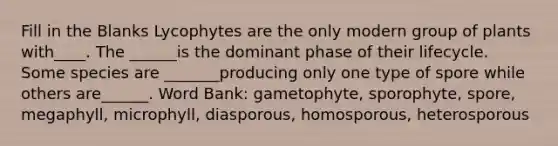 Fill in the Blanks Lycophytes are the only modern group of plants with____. The ______is the dominant phase of their lifecycle. Some species are _______producing only one type of spore while others are______. Word Bank: gametophyte, sporophyte, spore, megaphyll, microphyll, diasporous, homosporous, heterosporous