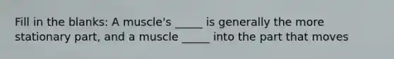 Fill in the blanks: A muscle's _____ is generally the more stationary part, and a muscle _____ into the part that moves