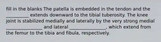 fill in the blanks The patella is embedded in the tendon and the __________ extends downward to the tibial tuberosity. The knee joint is stabilized medially and laterally by the very strong medial ________________ and lateral ________________, which extend from the femur to the tibia and fibula, respectively.