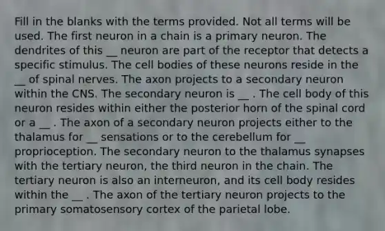 Fill in the blanks with the terms provided. Not all terms will be used. The first neuron in a chain is a primary neuron. The dendrites of this __ neuron are part of the receptor that detects a specific stimulus. The cell bodies of these neurons reside in the __ of spinal nerves. The axon projects to a secondary neuron within the CNS. The secondary neuron is __ . The cell body of this neuron resides within either the posterior horn of the spinal cord or a __ . The axon of a secondary neuron projects either to the thalamus for __ sensations or to the cerebellum for __ proprioception. The secondary neuron to the thalamus synapses with the tertiary neuron, the third neuron in the chain. The tertiary neuron is also an interneuron, and its cell body resides within the __ . The axon of the tertiary neuron projects to the primary somatosensory cortex of the parietal lobe.