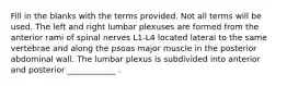 Fill in the blanks with the terms provided. Not all terms will be used. The left and right lumbar plexuses are formed from the anterior rami of spinal nerves L1-L4 located lateral to the same vertebrae and along the psoas major muscle in the posterior abdominal wall. The lumbar plexus is subdivided into anterior and posterior ____________ .