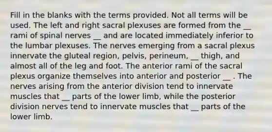 Fill in the blanks with the terms provided. Not all terms will be used. The left and right sacral plexuses are formed from the __ rami of spinal nerves __ and are located immediately inferior to the lumbar plexuses. The nerves emerging from a sacral plexus innervate the gluteal region, pelvis, perineum, __ thigh, and almost all of the leg and foot. The anterior rami of the sacral plexus organize themselves into anterior and posterior __ . The nerves arising from the anterior division tend to innervate muscles that __ parts of the lower limb, while the posterior division nerves tend to innervate muscles that __ parts of the lower limb.