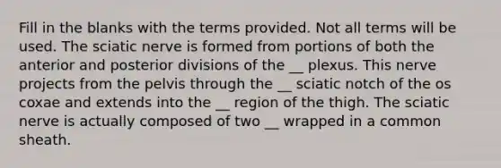 Fill in the blanks with the terms provided. Not all terms will be used. The sciatic nerve is formed from portions of both the anterior and posterior divisions of the __ plexus. This nerve projects from the pelvis through the __ sciatic notch of the os coxae and extends into the __ region of the thigh. The sciatic nerve is actually composed of two __ wrapped in a common sheath.