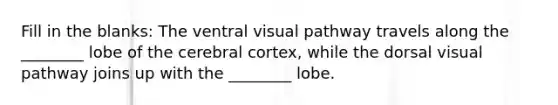 Fill in the blanks: The ventral visual pathway travels along the ________ lobe of the cerebral cortex, while the dorsal visual pathway joins up with the ________ lobe.