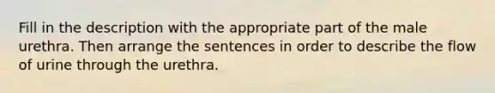 Fill in the description with the appropriate part of the male urethra. Then arrange the sentences in order to describe the flow of urine through the urethra.