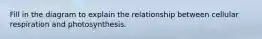 Fill in the diagram to explain the relationship between cellular respiration and photosynthesis.