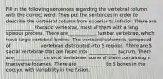 Fill in the following sentences regarding the vertebral column with the correct word. Then put the sentences in order to describe the vertebral column from superior to inferior. There are ____________ thoracic vertebrae, most of them with a long spinous process. There are ____________ lumbar vertebrae, which have large vertebral bodies. The vertebral column is composed of ____________ vertebrae distributed into 5 regions. There are 5 sacral vertebrae that are fused into ____________ sacrum. There are ____________ cervical vertebrae, some of them containing a transverse foramen. There are ____________ to 5 bones in the coccyx, with variability in the fusion.