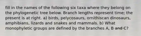 fill in the names of the following six taxa where they belong on the phylogenetic tree below. Branch lengths represent time; the present is at right. a) birds, pelycosaurs, ornithiscan dinosaurs, amphibians, lizards and snakes and mammals. b) What monophyletic groups are defined by the branches A, B and C?