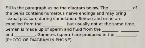 Fill in the paragraph using the diagram below. The ___________ of the penis contains numerous nerve endings and may bring sexual pleasure during stimulation. Semen and urine are expelled from the __________ , but usually not at the same time. Semen is made up of sperm and fluid from the ________, _________ and __________. Gametes (sperm) are produced in the __________. (PHOTO OF DIAGRAM IN PHONE)