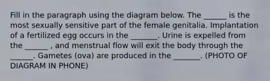 Fill in the paragraph using the diagram below. The ______ is the most sexually sensitive part of the female genitalia. Implantation of a fertilized egg occurs in the _______. Urine is expelled from the ______ , and menstrual flow will exit the body through the ______. Gametes (ova) are produced in the _______. (PHOTO OF DIAGRAM IN PHONE)