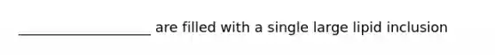 ___________________ are filled with a single large lipid inclusion