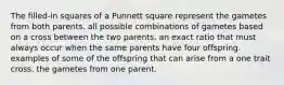 The filled-in squares of a Punnett square represent the gametes from both parents. all possible combinations of gametes based on a cross between the two parents. an exact ratio that must always occur when the same parents have four offspring. examples of some of the offspring that can arise from a one trait cross. the gametes from one parent.