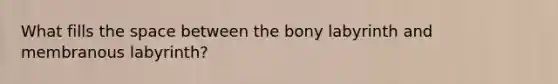 What fills the space between the bony labyrinth and membranous labyrinth?