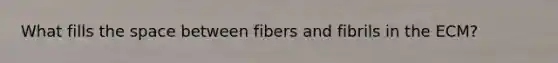 What fills <a href='https://www.questionai.com/knowledge/k0Lyloclid-the-space' class='anchor-knowledge'>the space</a> between fibers and fibrils in the ECM?