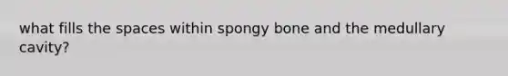 what fills the spaces within spongy bone and the medullary cavity?