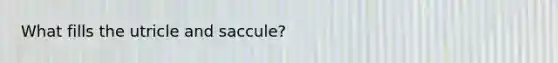 What fills the utricle and saccule?