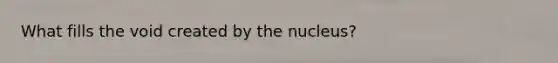 What fills the void created by the nucleus?