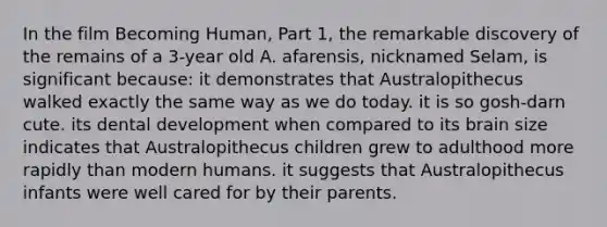 In the film Becoming Human, Part 1, the remarkable discovery of the remains of a 3-year old A. afarensis, nicknamed Selam, is significant because: it demonstrates that Australopithecus walked exactly the same way as we do today. it is so gosh-darn cute. its dental development when compared to its brain size indicates that Australopithecus children grew to adulthood more rapidly than modern humans. it suggests that Australopithecus infants were well cared for by their parents.