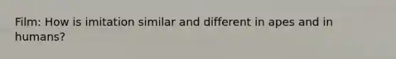 Film: How is imitation similar and different in apes and in humans?