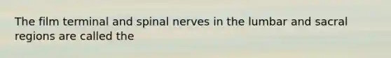 The film terminal and spinal nerves in the lumbar and sacral regions are called the