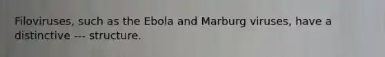 Filoviruses, such as the Ebola and Marburg viruses, have a distinctive --- structure.