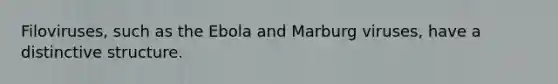 Filoviruses, such as the Ebola and Marburg viruses, have a distinctive structure.