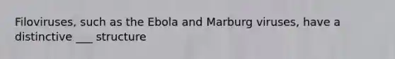 Filoviruses, such as the Ebola and Marburg viruses, have a distinctive ___ structure
