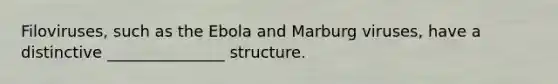 Filoviruses, such as the Ebola and Marburg viruses, have a distinctive _______________ structure.