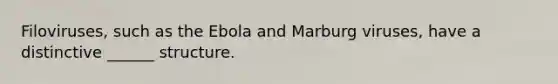Filoviruses, such as the Ebola and Marburg viruses, have a distinctive ______ structure.