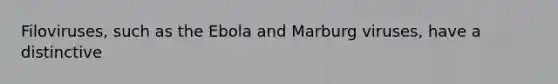 Filoviruses, such as the Ebola and Marburg viruses, have a distinctive