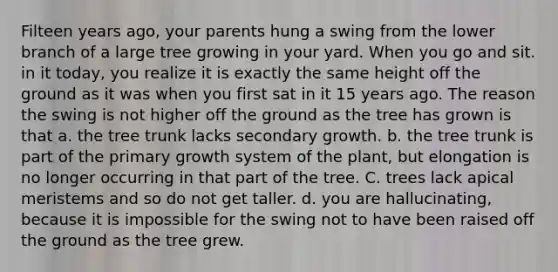 Filteen years ago, your parents hung a swing from the lower branch of a large tree growing in your yard. When you go and sit. in it today, you realize it is exactly the same height off the ground as it was when you first sat in it 15 years ago. The reason the swing is not higher off the ground as the tree has grown is that a. the tree trunk lacks secondary growth. b. the tree trunk is part of the primary growth system of the plant, but elongation is no longer occurring in that part of the tree. C. trees lack apical meristems and so do not get taller. d. you are hallucinating, because it is impossible for the swing not to have been raised off the ground as the tree grew.