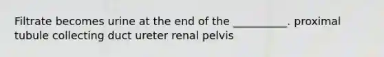 Filtrate becomes urine at the end of the __________. proximal tubule collecting duct ureter renal pelvis