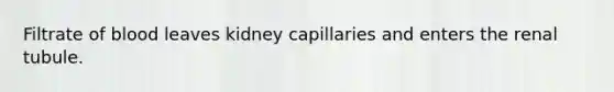 Filtrate of blood leaves kidney capillaries and enters the renal tubule.