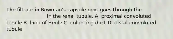 The filtrate in Bowman's capsule next goes through the ________________ in the renal tubule. A. proximal convoluted tubule B. loop of Henle C. collecting duct D. distal convoluted tubule