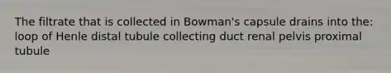 The filtrate that is collected in Bowman's capsule drains into the: loop of Henle distal tubule collecting duct renal pelvis proximal tubule