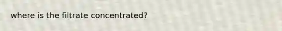 where is the filtrate concentrated?