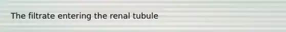 The filtrate entering the renal tubule