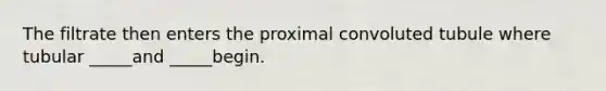 The filtrate then enters the proximal convoluted tubule where tubular _____and _____begin.