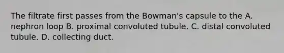 The filtrate first passes from the Bowman's capsule to the A. nephron loop B. proximal convoluted tubule. C. distal convoluted tubule. D. collecting duct.