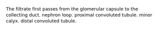 The filtrate first passes from the glomerular capsule to the collecting duct. nephron loop. proximal convoluted tubule. minor calyx. distal convoluted tubule.