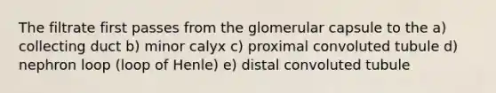 The filtrate first passes from the glomerular capsule to the a) collecting duct b) minor calyx c) proximal convoluted tubule d) nephron loop (loop of Henle) e) distal convoluted tubule